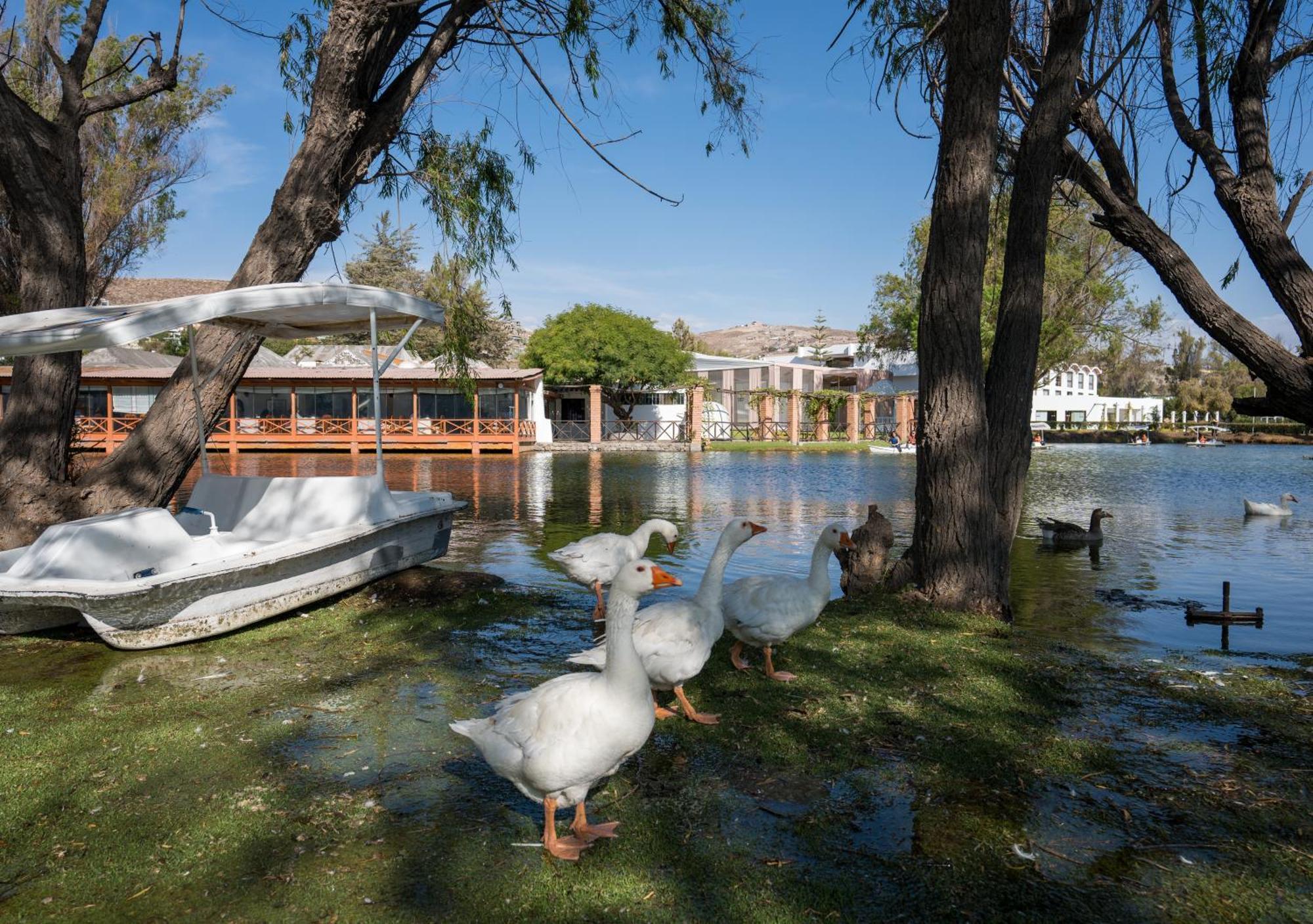 Bth Hotel Arequipa Lake Characato Extérieur photo